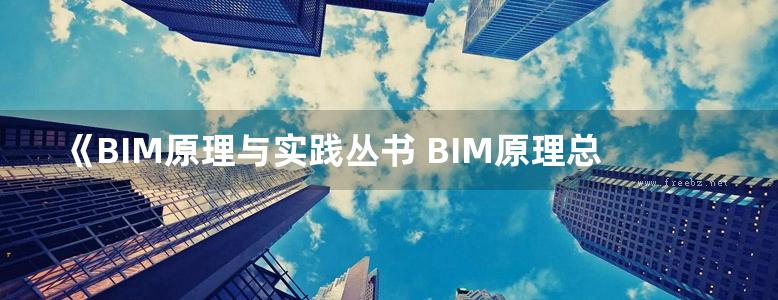 《BIM原理与实践丛书 BIM原理总论 》周志 赵雪锋 吴玉怀  2017 